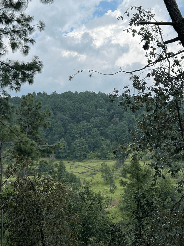 00 Senderos del Bosque (Tapalpa) (5)