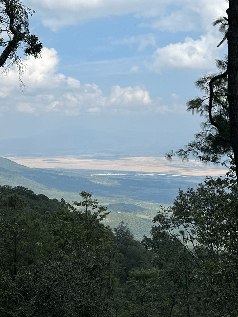 00 Senderos del Bosque (Tapalpa) (6)