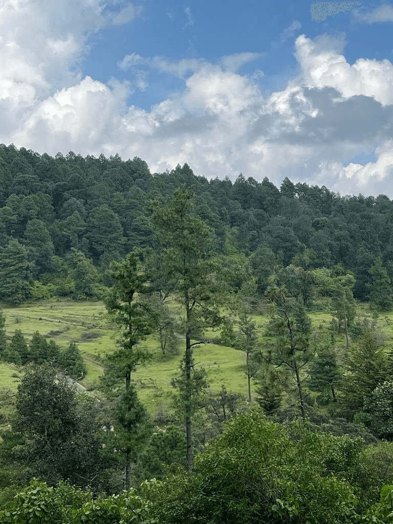 00 Senderos del Bosque (Tapalpa) (7)