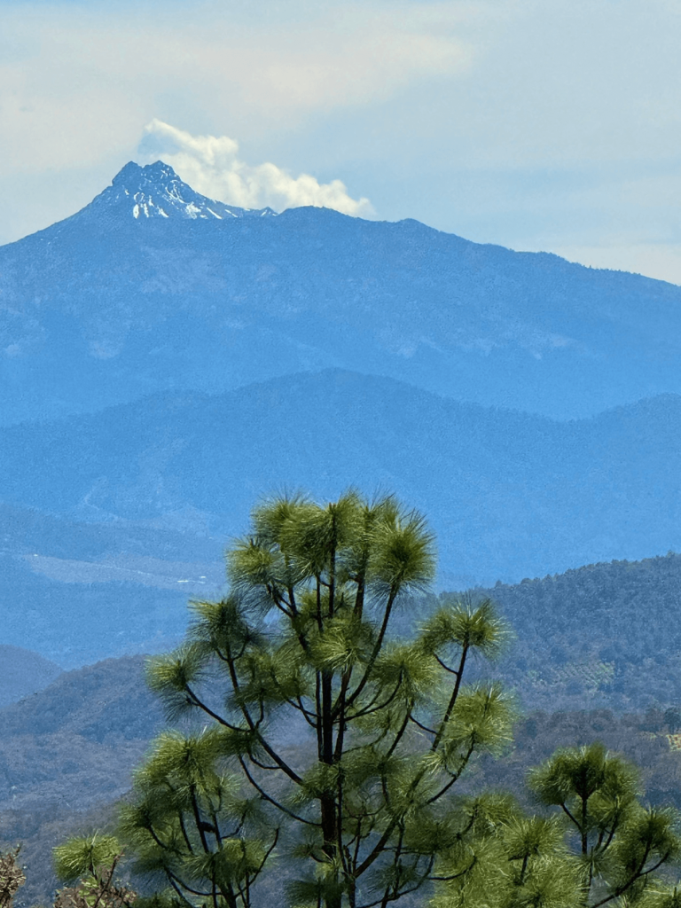 00 Senderos del Bosque (Tapalpa) (8)