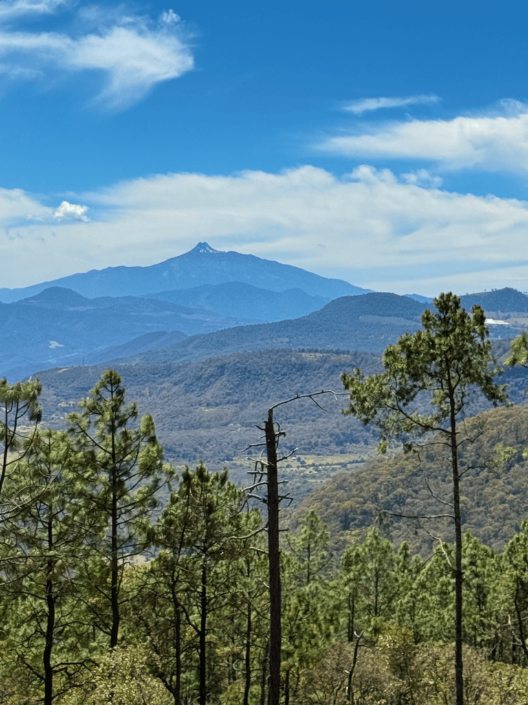 00 Senderos del Bosque (Tapalpa) (9)