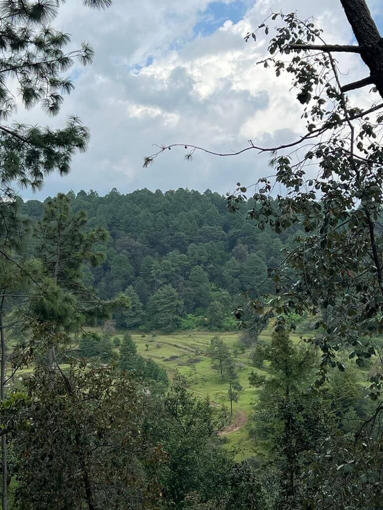 Senderos del Bosque (Tapalpa) (1)