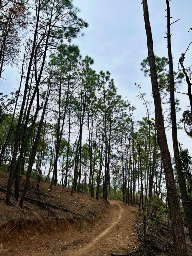 Senderos del Bosque (Tapalpa) (12)