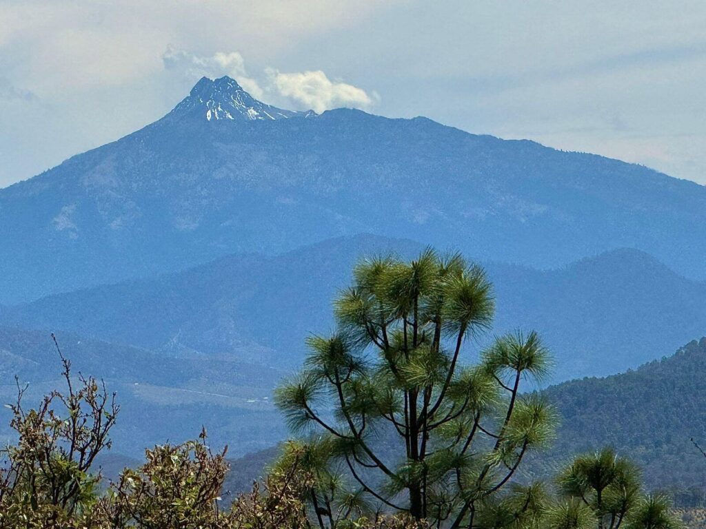 Senderos del Bosque (Tapalpa) (15)