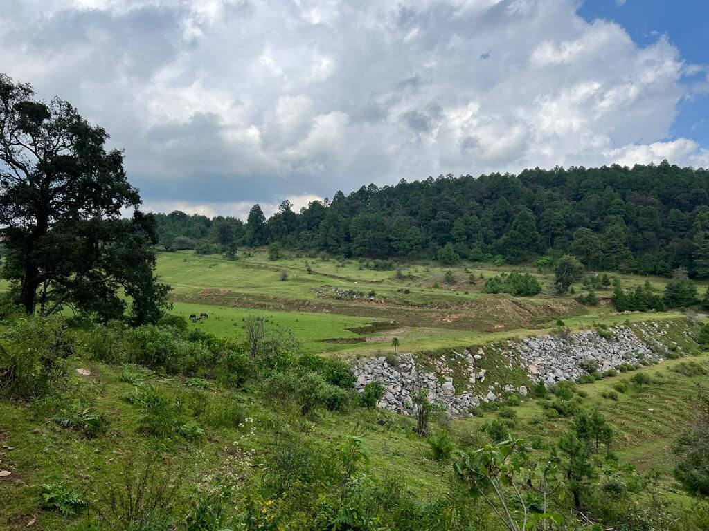 Senderos del Bosque (Tapalpa) (3)